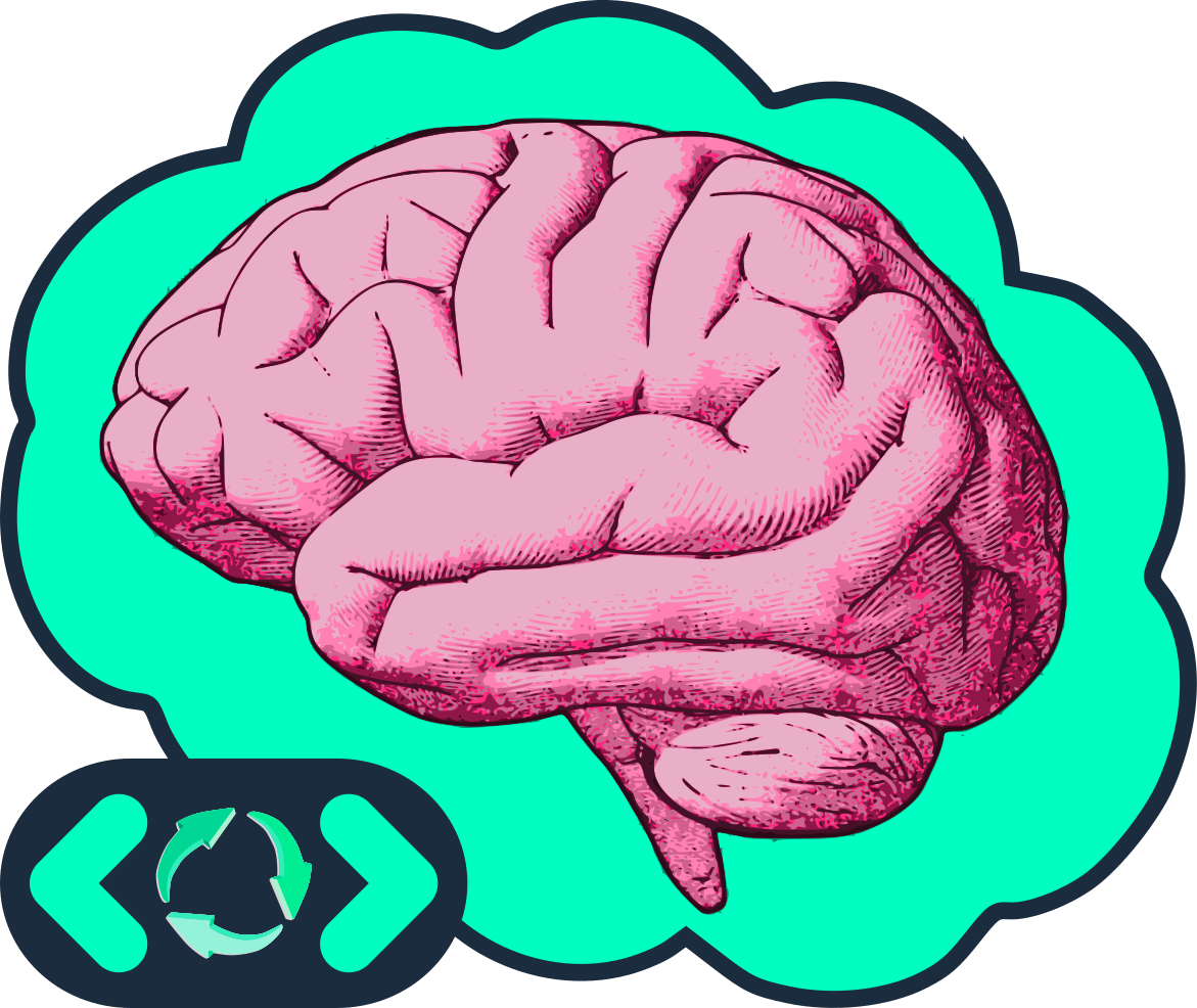 OHBM 2025 Educational; From Code to Visualization: Reproducible Pipelines for Neuroimaging Research - Home